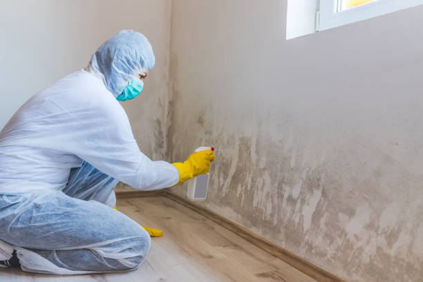 Black mold inspection in Pembroke Pines