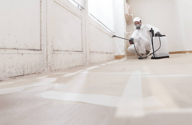 Black mold remediation team in Pembroke Pines